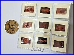 1973 Uk China Chinese Exhibition Bronze Coin With Photo Negatives Organiser Set