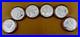 2011-2014-SILVER-CHINA-1-OZ-2015-2016-30-gram-PANDA-6-COIN-CONSECUTIVE-YEAR-SET-01-udax