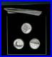 2011-China-10-Yuan-50th-Anniversary-WWF-3-Piece-Set-1oz-Silver-Each-Coin-DC-1990-01-rgfu