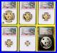 2018-CHINA-GOLD-PANDA-PRESTIGE-6-COIN-SET-NGC-MS-70-FIRST-DAY-ISSUE-Wall-label-01-yr
