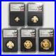 2018-China-Panda-5-Coin-Gold-Set-57-grams-NGC-MS70-ER-Early-Releases-01-jqz