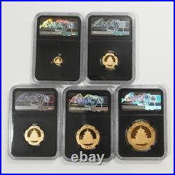 2018 China Panda 5-Coin Gold Set 57 grams NGC MS70 ER Early Releases