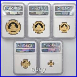 2018 China Panda 500/200/100/50/10 CN Yuan Gold 5-coin Set NGC MS 70 FR