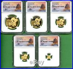 2019 Panda Gold Set Ngc Ms 70 5 Coins 1.8326 Oz Au One Of First 350