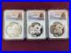 2019-S-Y-G-China-Panda-1-oz-999-Fine-Silver-3-Coin-Set-NGC-Graded-MS70-01-wu