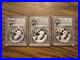 2020-YGS-Chinese-Silver-Panda-3-Coin-Set-NGC-MS-70-01-gvb