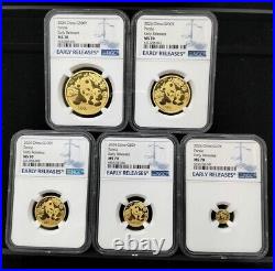 2024 China panda 30g 15g 8g 3g 1g gold coin 5-pc set NGC MS70 early releases