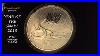 Beyond-The-Panda-China-Lunar-Coins-Year-Of-The-Snake-2013-01-bnvo