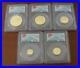 China-2010-Gold-5-Coin-Full-UNC-Panda-Set-All-Coins-PCGS-MS69-First-Strike-01-hfi