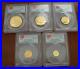 China-2014-Gold-5-Coin-Full-UNC-Panda-Set-All-Coins-PCGS-MS69-First-Strike-01-kcnv