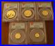 China-2015-Gold-5-Coin-Full-UNC-Panda-Set-All-Coins-PCGS-MS69-First-Strike-01-bkud