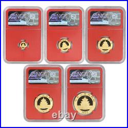 China 2022 Set of 5 Gold Pandas NGC MS70 Early Releases Red Core Panda Coins
