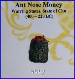China, A set of early bronze cast coins on a cardboard 400 BC 14 AD