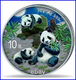 Night & Day Panda 2 x 2025 10 Yuan 30 Gram Pure Silver Coloured Coin Set