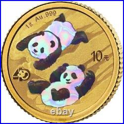 PANDA JUBIILEE Set 40th Anniversary 30 Gm Silver 1 Gm Gold Coin China 2022-23