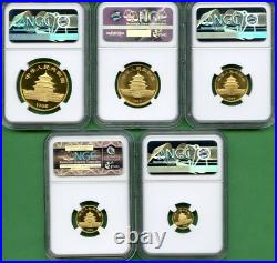Panda Gold China 1985 Set Ngc Ms 69 5 Coins