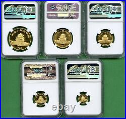 Panda Gold China 1985 Set Ngc Ms 69 5 Coins