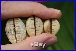 Set of 3 Chinese Cowry Shell or Bèi money coins, Shang Dyn 1766-1154 BC