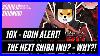 Shibnobi-Shinja-The-Next-Shiba-Inu-10x-Hidden-Gem-New-Coin-Alert-Don-T-Miss-This-01-sy