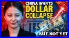 Why-China-Wants-The-Dollar-To-Collapse-But-Can-T-Let-It-Happen-Yet-01-iv